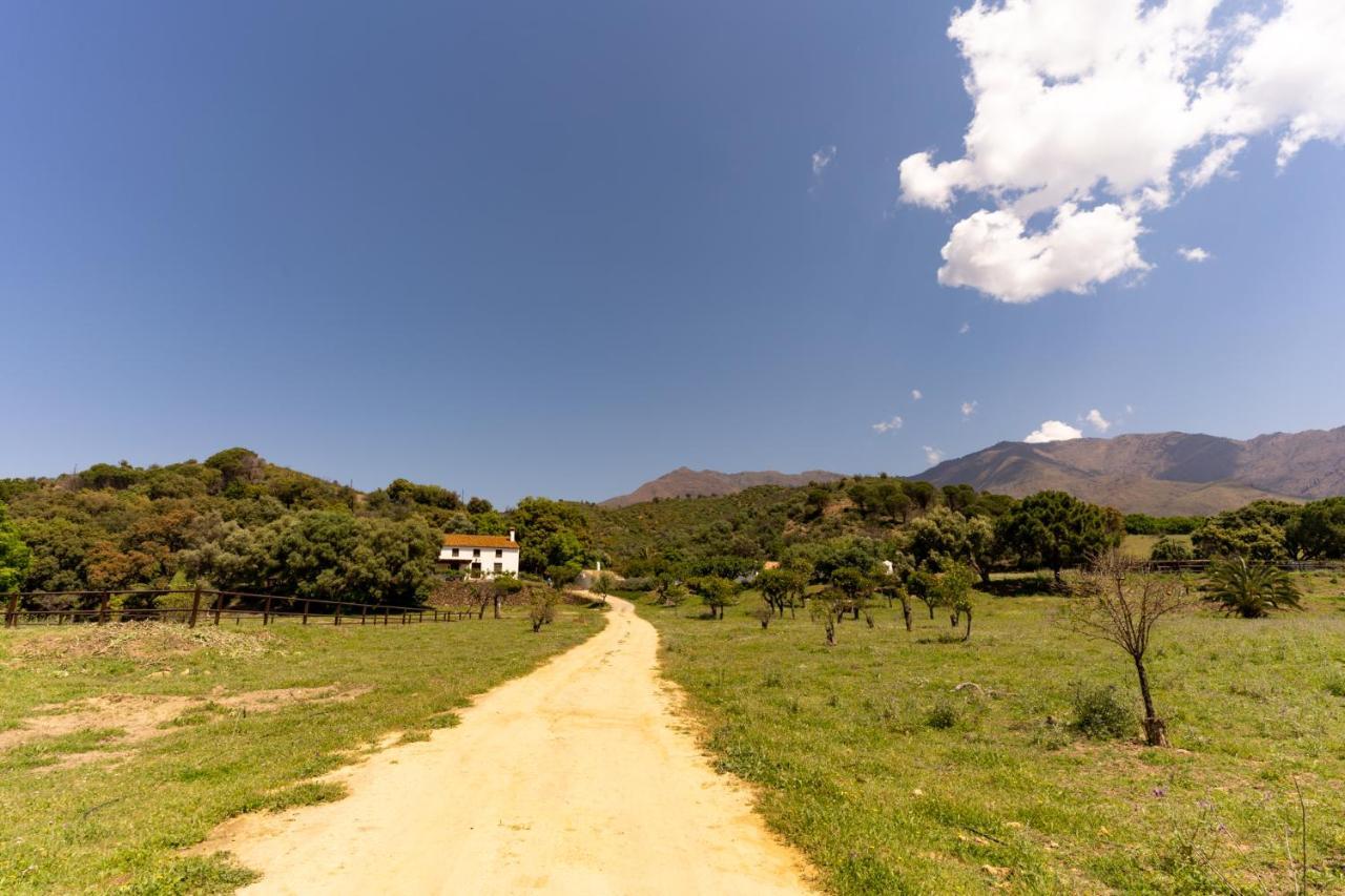 אסטפונה Finca Sta Teresa, Casa Grande מראה חיצוני תמונה