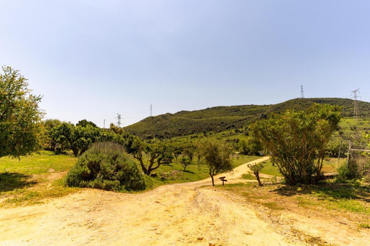 אסטפונה Finca Sta Teresa, Casa Grande מראה חיצוני תמונה