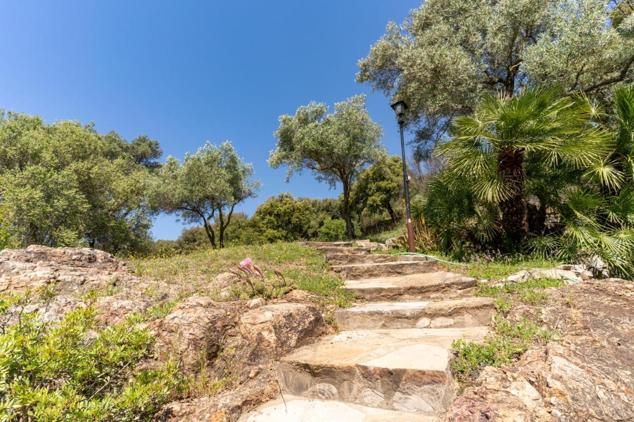 אסטפונה Finca Sta Teresa, Casa Grande מראה חיצוני תמונה