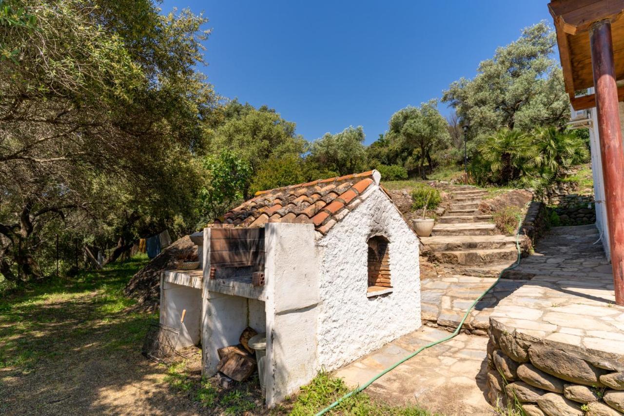 אסטפונה Finca Sta Teresa, Casa Grande מראה חיצוני תמונה