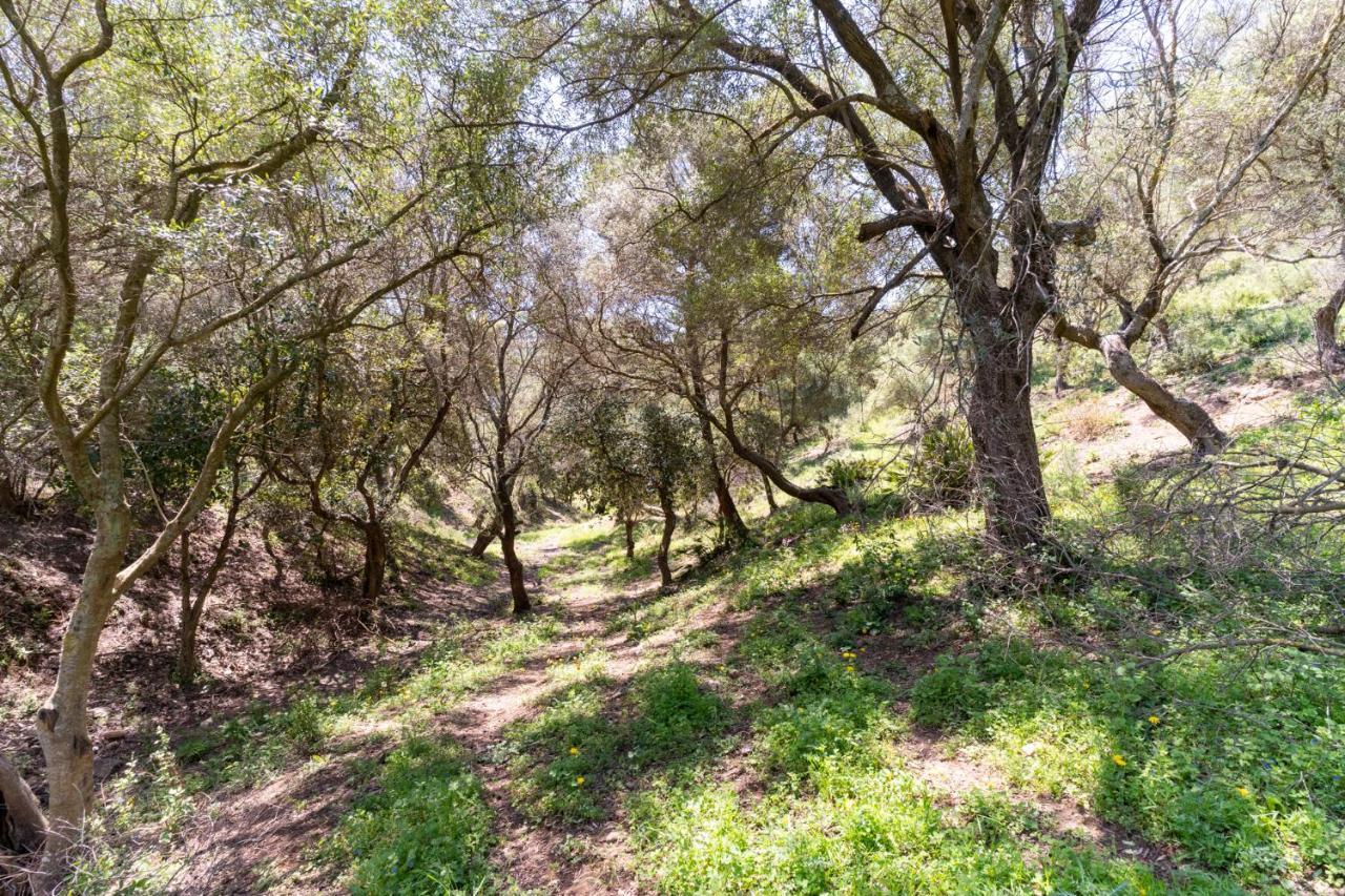 אסטפונה Finca Sta Teresa, Casa Grande מראה חיצוני תמונה