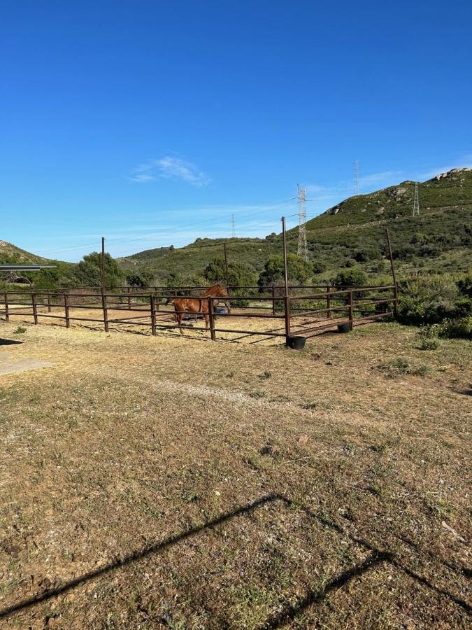 אסטפונה Finca Sta Teresa, Casa Grande מראה חיצוני תמונה
